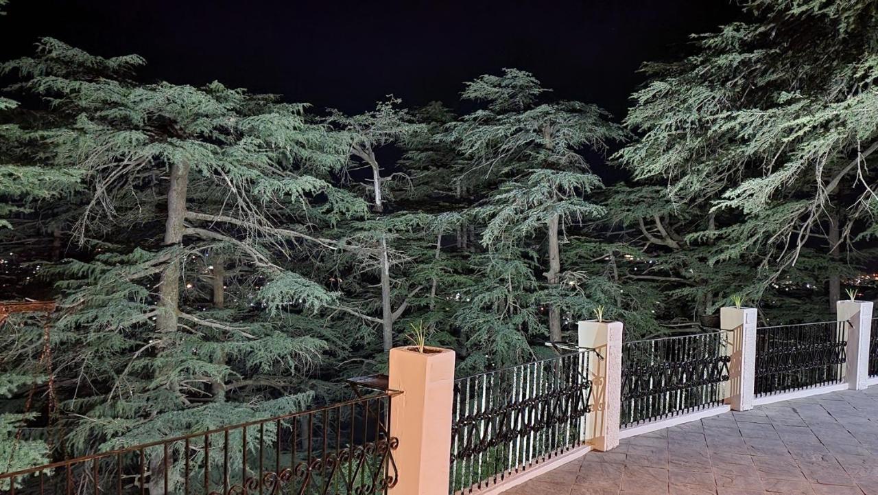 Glen View Heritage Homestay Shimla Exteriör bild