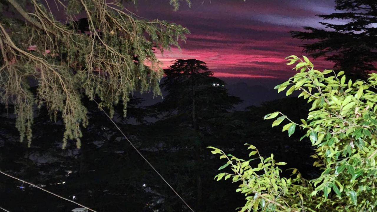 Glen View Heritage Homestay Shimla Exteriör bild