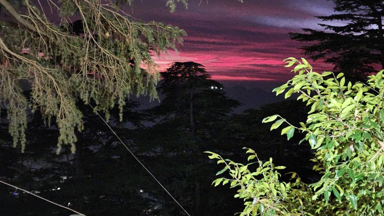 Glen View Heritage Homestay Shimla Exteriör bild