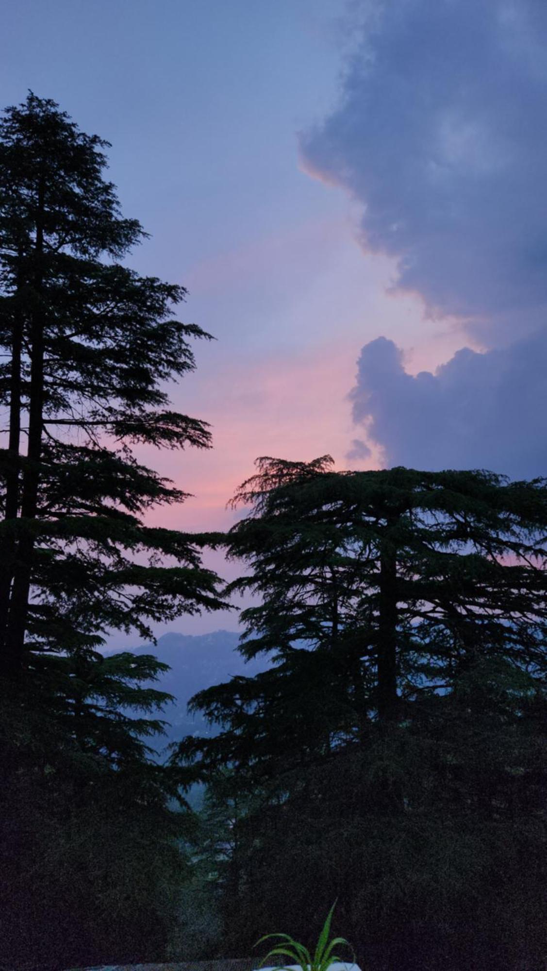 Glen View Heritage Homestay Shimla Exteriör bild