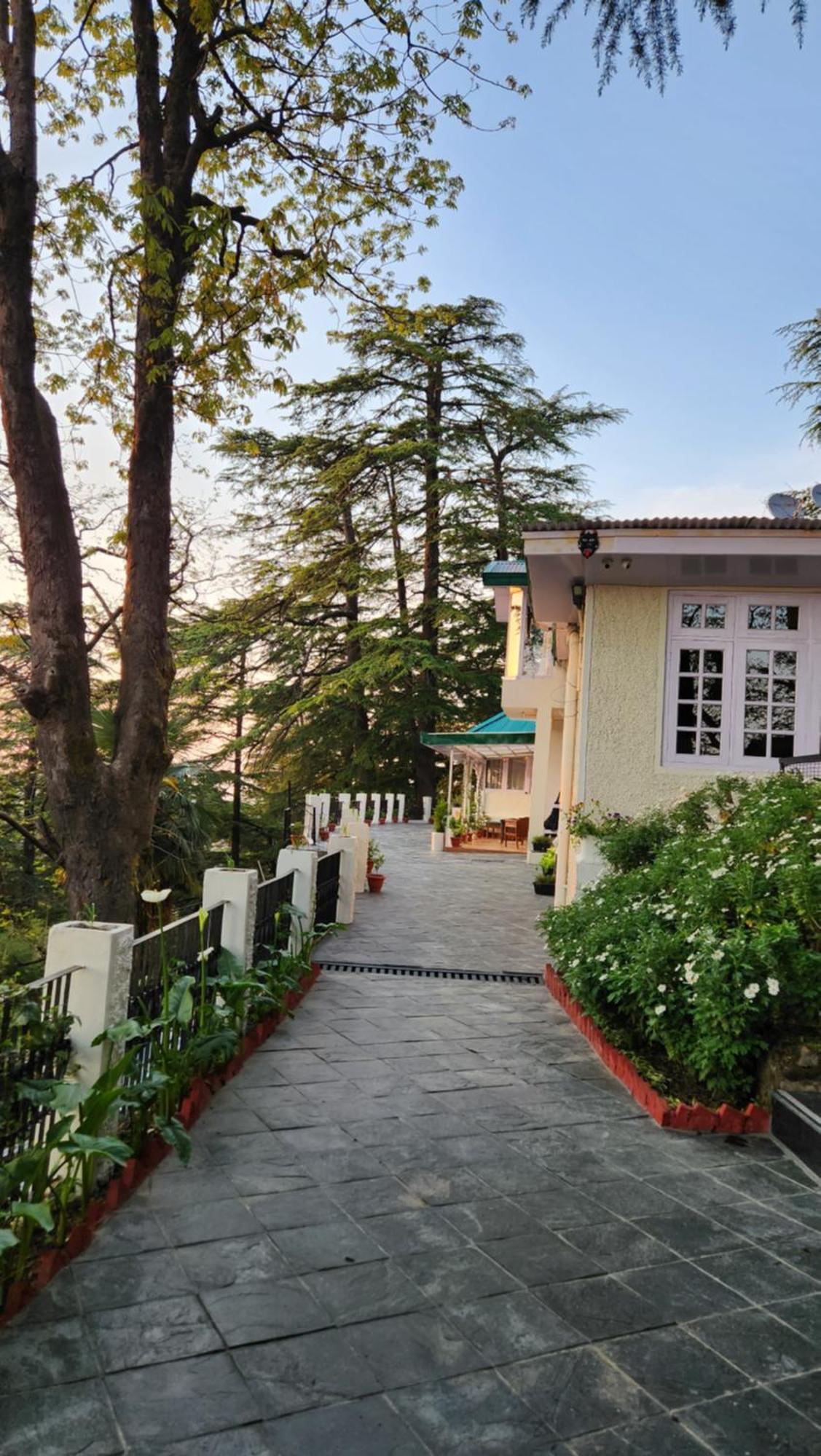 Glen View Heritage Homestay Shimla Exteriör bild