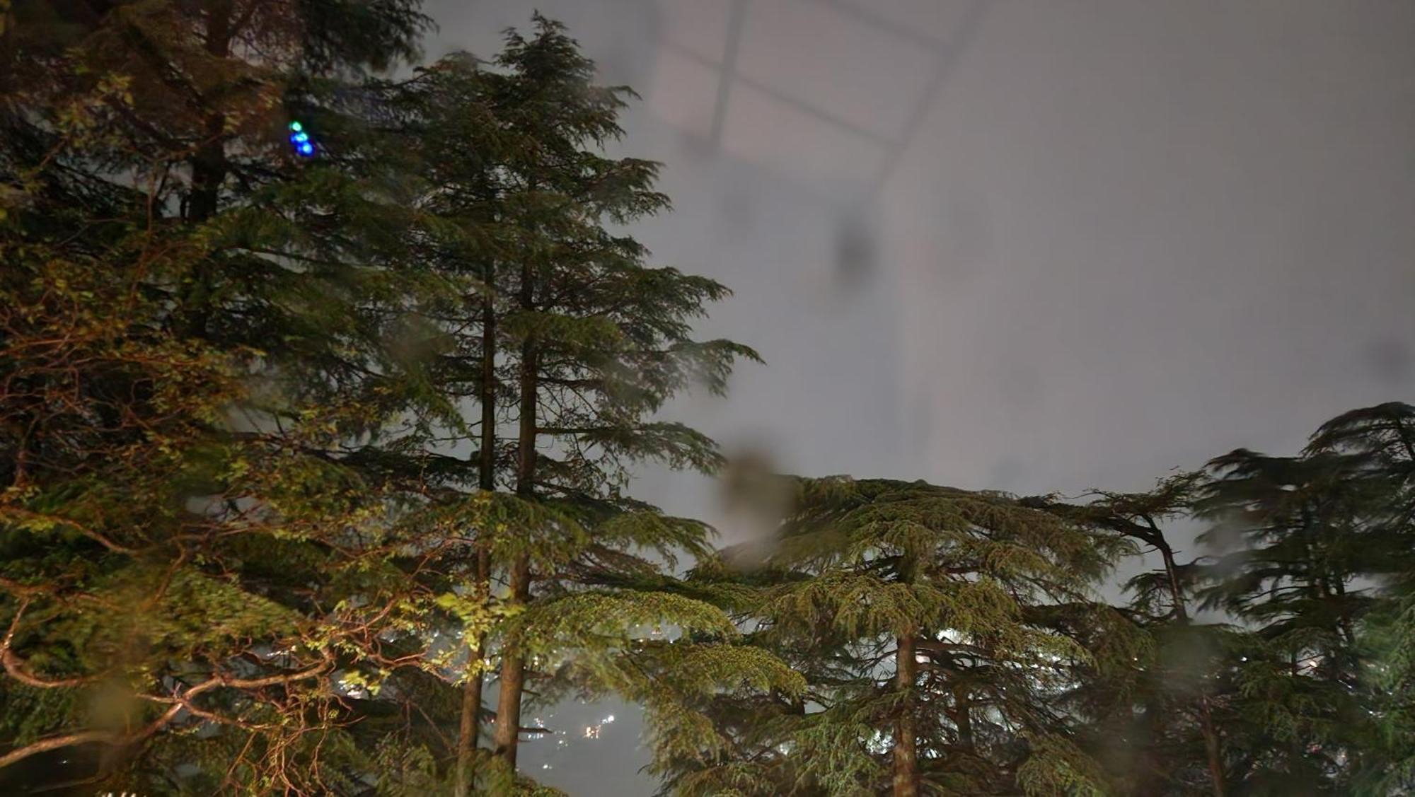 Glen View Heritage Homestay Shimla Exteriör bild
