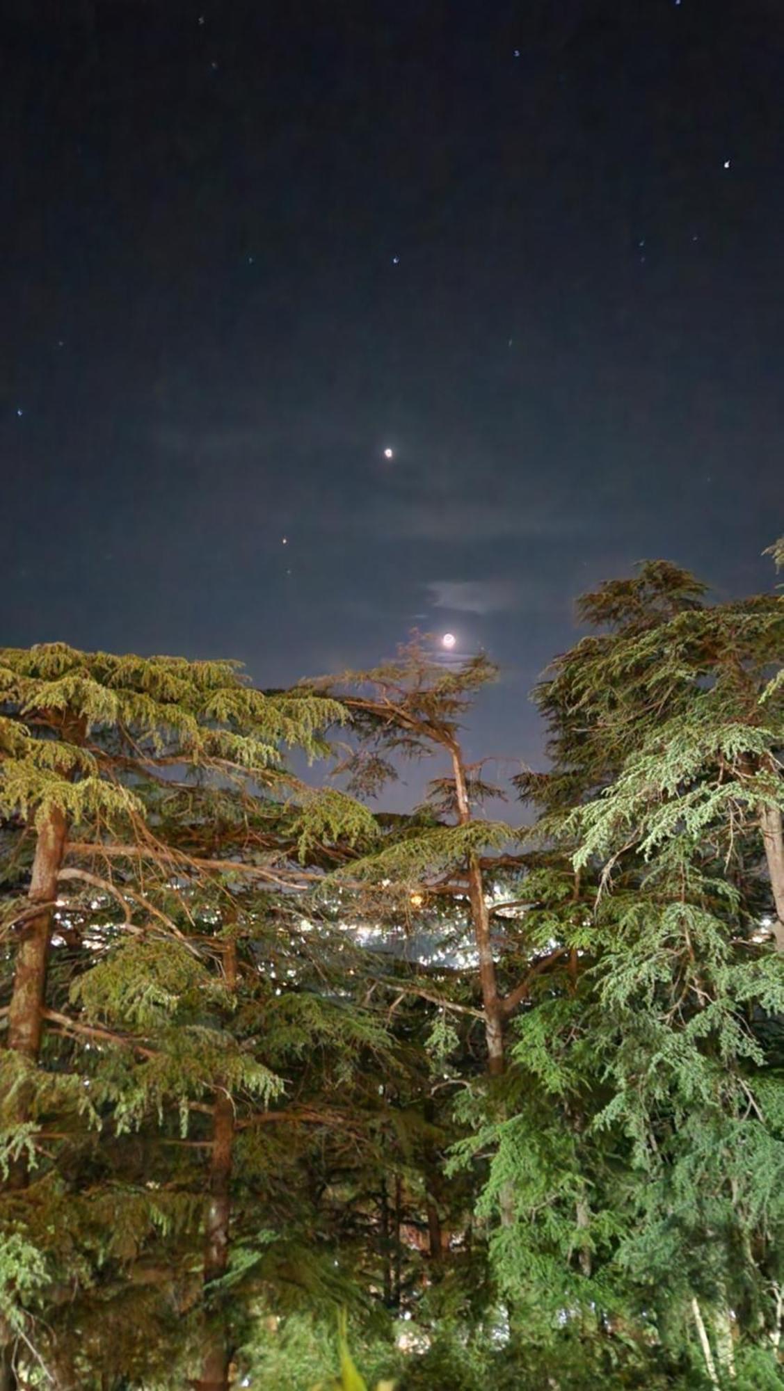 Glen View Heritage Homestay Shimla Exteriör bild