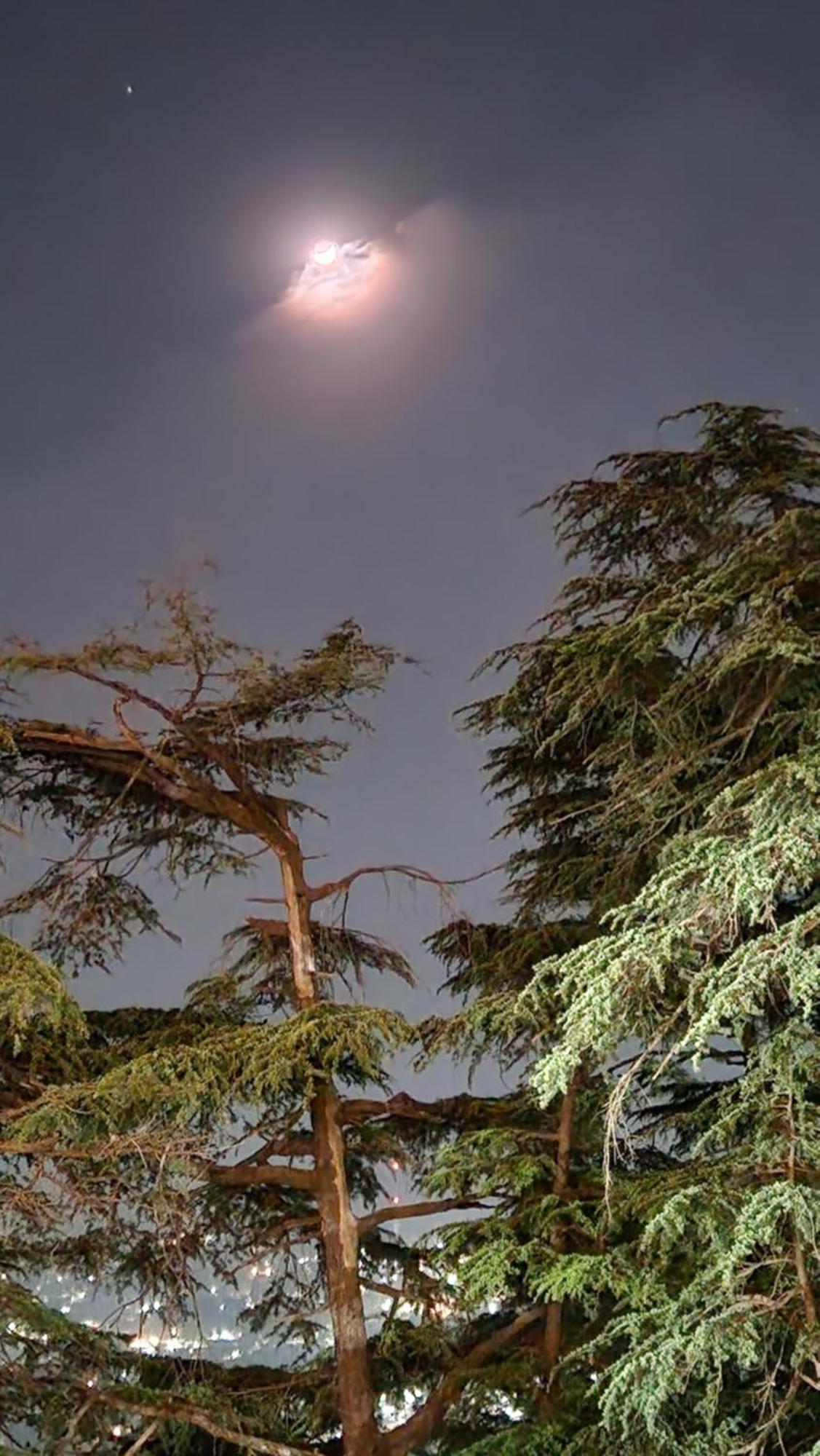 Glen View Heritage Homestay Shimla Exteriör bild