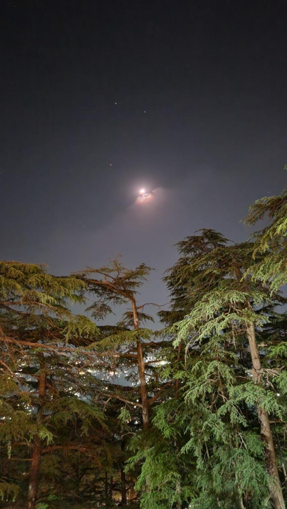 Glen View Heritage Homestay Shimla Exteriör bild